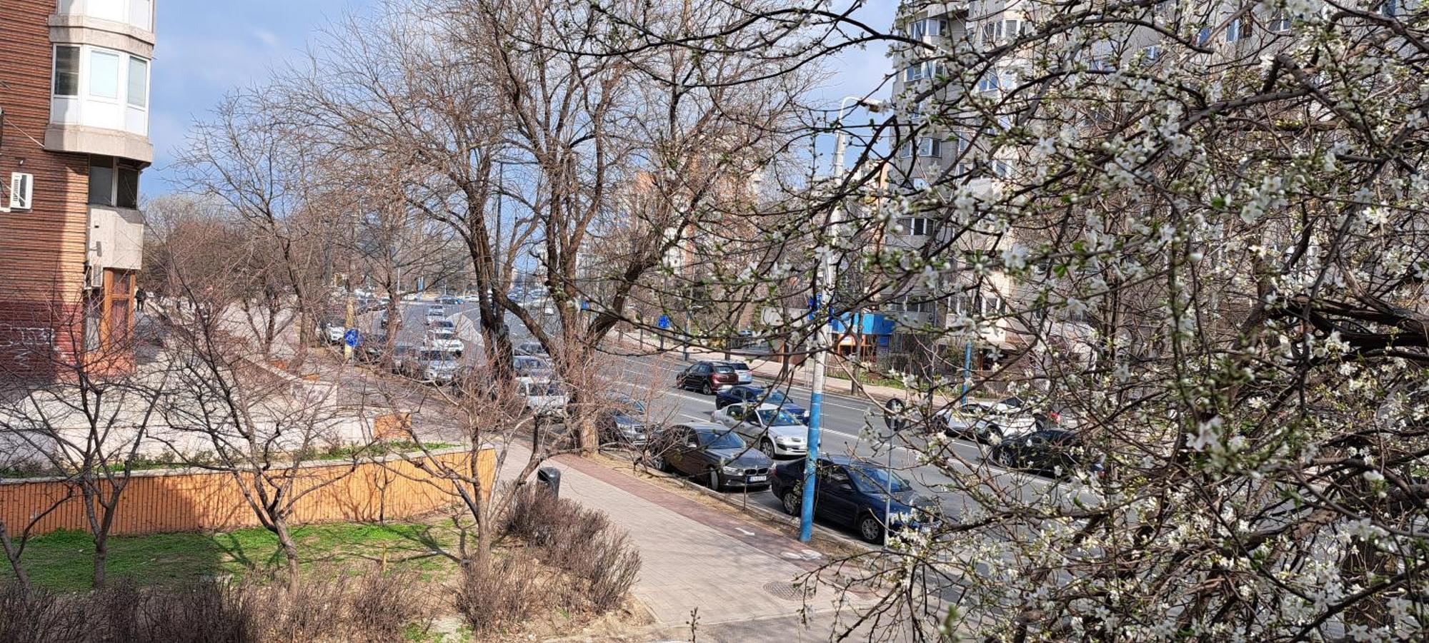 Relax Apartament Констанца Екстериор снимка